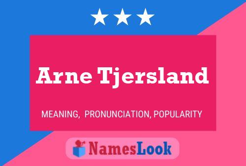 ملصق اسم Arne Tjersland