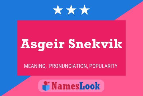 ملصق اسم Asgeir Snekvik