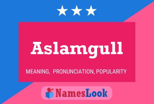 ملصق اسم Aslamgull