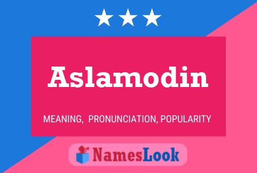 ملصق اسم Aslamodin