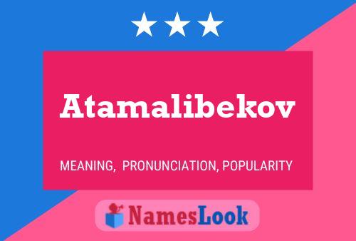 ملصق اسم Atamalibekov