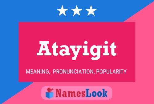 ملصق اسم Atayigit