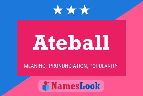 ملصق اسم Ateball