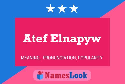 ملصق اسم Atef Elnapyw