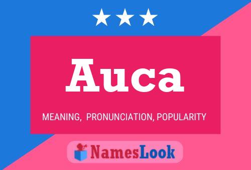 ملصق اسم Auca