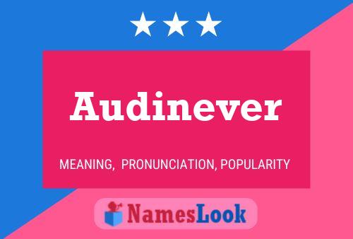 ملصق اسم Audinever