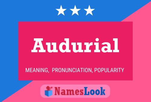 ملصق اسم Audurial