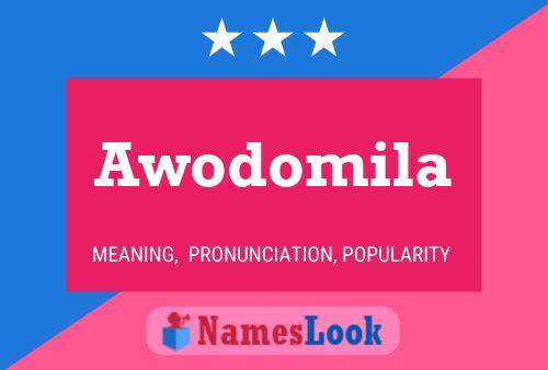 ملصق اسم Awodomila