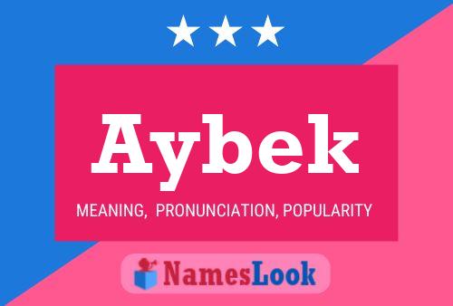 ملصق اسم Aybek