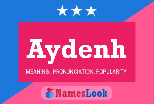 ملصق اسم Aydenh