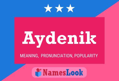 ملصق اسم Aydenik