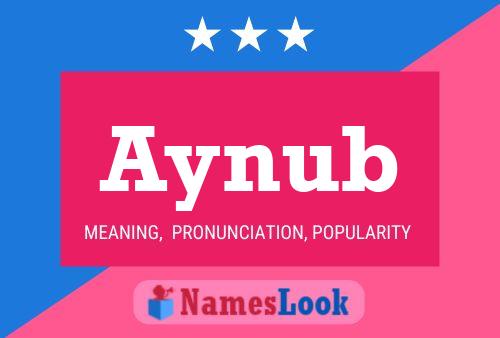 ملصق اسم Aynub