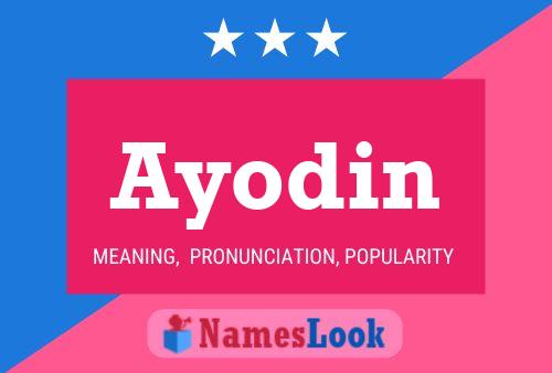 ملصق اسم Ayodin