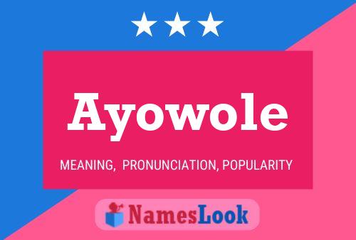 ملصق اسم Ayowole