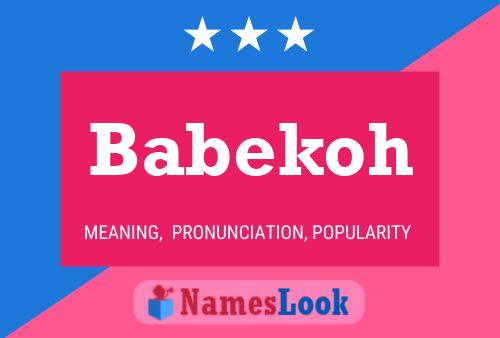 ملصق اسم Babekoh