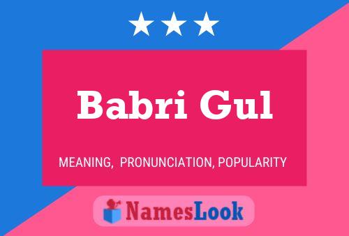 ملصق اسم Babri Gul