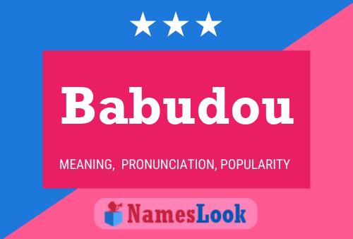 ملصق اسم Babudou