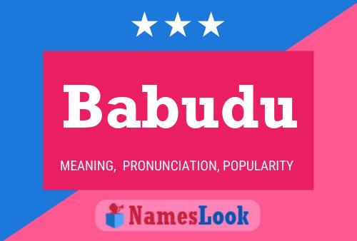 ملصق اسم Babudu