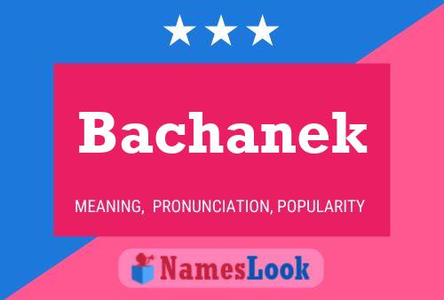 ملصق اسم Bachanek