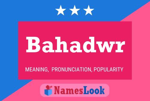 ملصق اسم Bahadwr