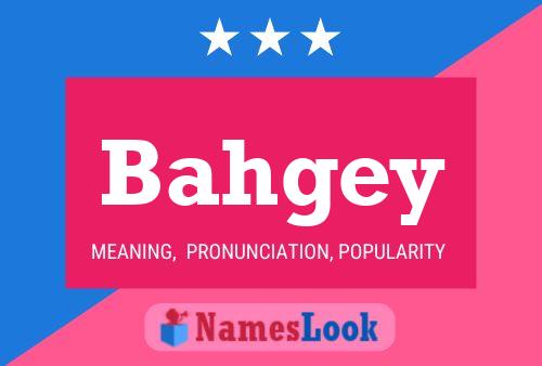 ملصق اسم Bahgey