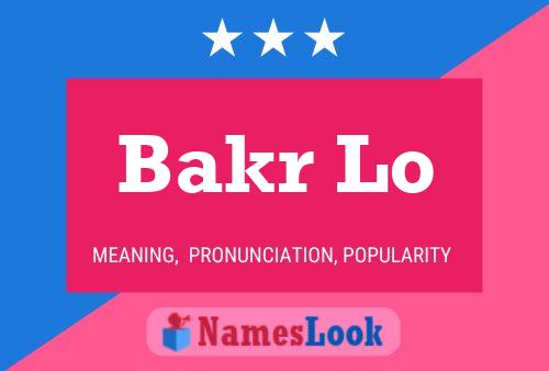 ملصق اسم Bakr Lo