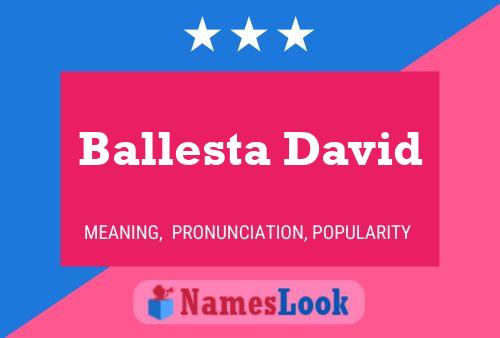 ملصق اسم Ballesta David