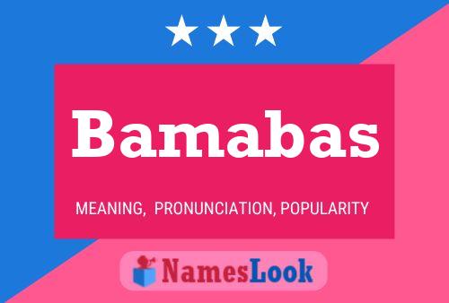 ملصق اسم Bamabas