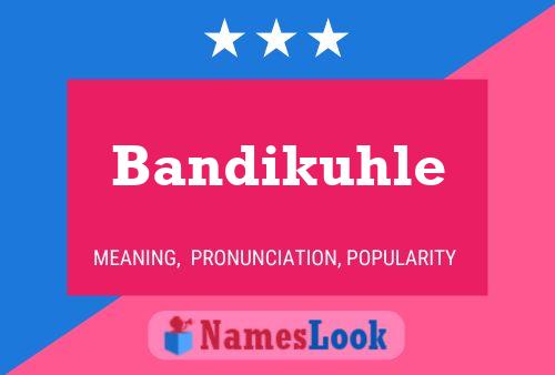 ملصق اسم Bandikuhle