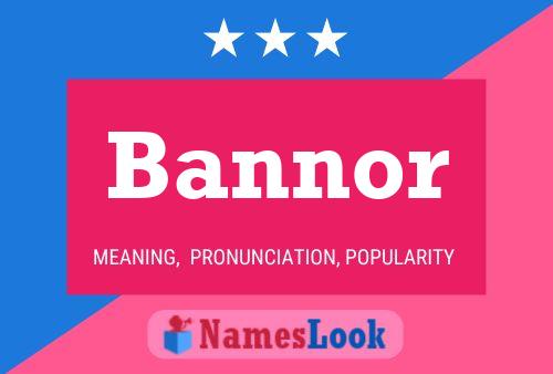 ملصق اسم Bannor