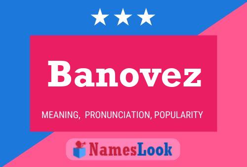 ملصق اسم Banovez