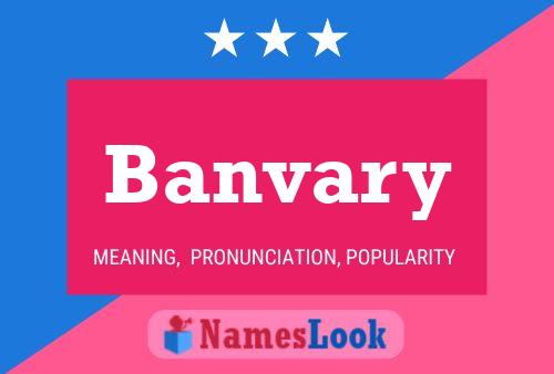 ملصق اسم Banvary