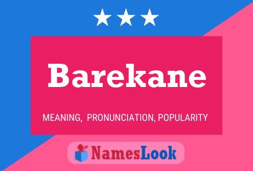 ملصق اسم Barekane