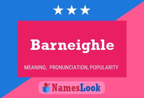 ملصق اسم Barneighle