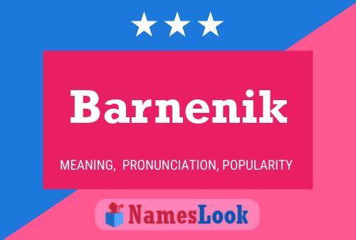 ملصق اسم Barnenik