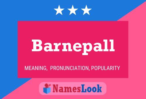 ملصق اسم Barnepall