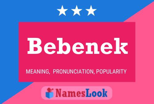 ملصق اسم Bebenek