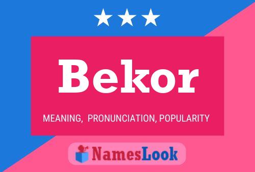 ملصق اسم Bekor