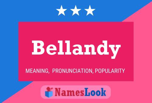 ملصق اسم Bellandy