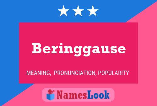 ملصق اسم Beringgause