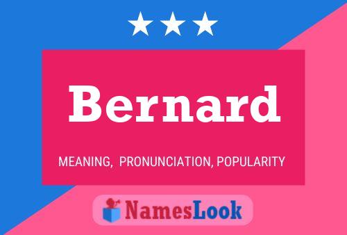 ملصق اسم Bernard