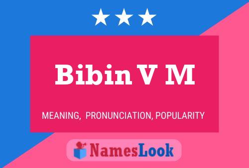 ملصق اسم Bibin V M