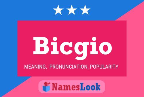 ملصق اسم Bicgio