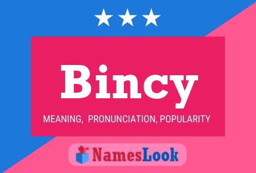 ملصق اسم Bincy