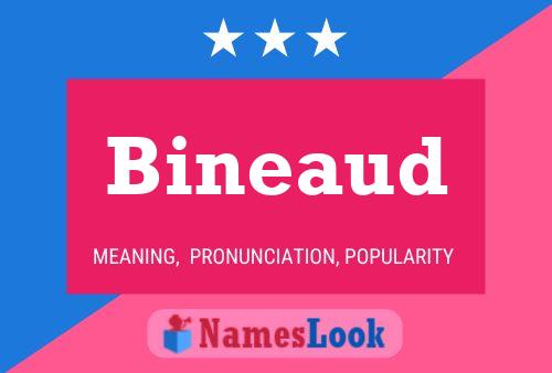 ملصق اسم Bineaud