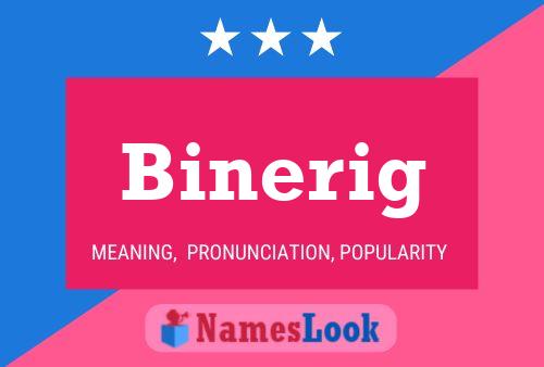 ملصق اسم Binerig