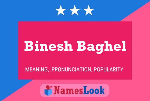 ملصق اسم Binesh Baghel