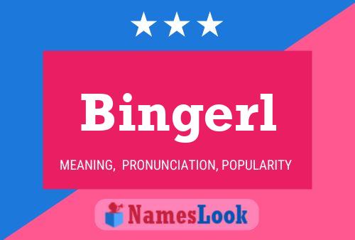 ملصق اسم Bingerl