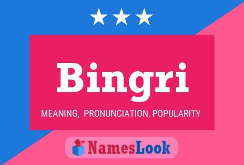 ملصق اسم Bingri