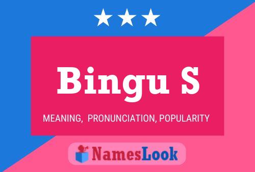 ملصق اسم Bingu S